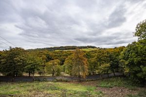 Branch Road